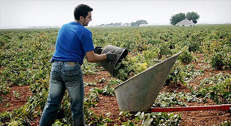 JOVEN-AGRICULTOR.jpg