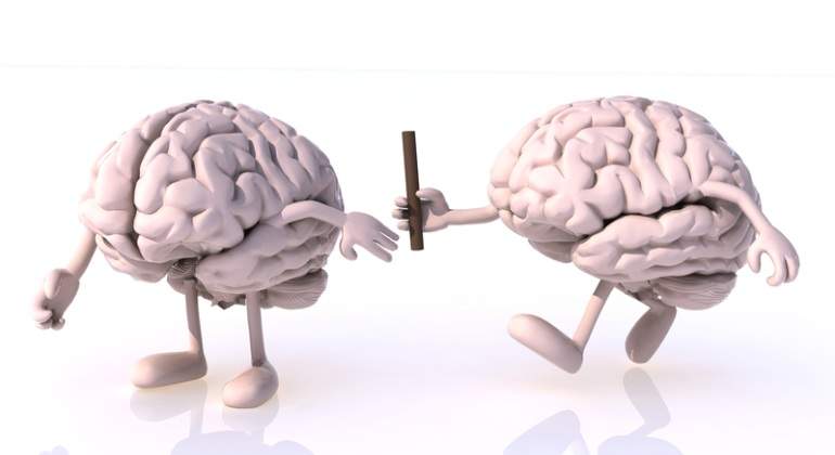 Cerebros-relevos-Dreamstime.jpg