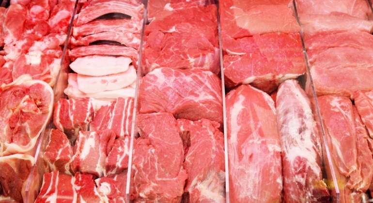 carne-dreams.jpg