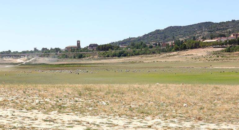 pantano-entrepenas-tajo-770.jpg