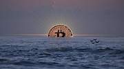 El bitcoin marca un nuevo máximo histórico y supera los 50.000 dólares