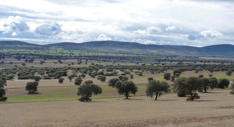 Tierras raras