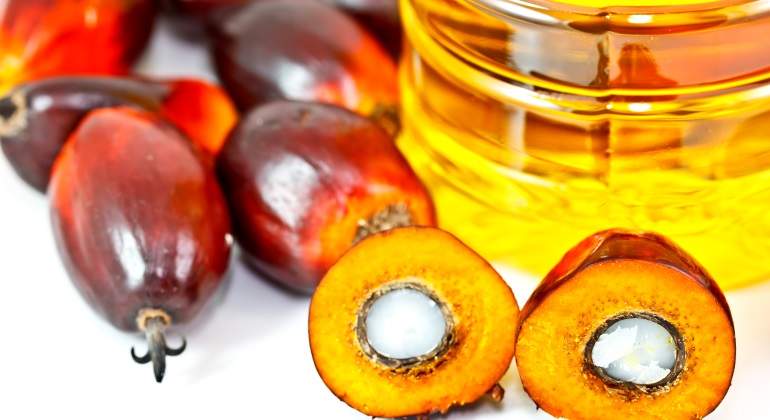 palma-fruto-aceite.jpg