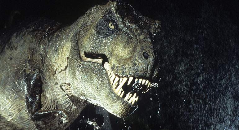 Rex