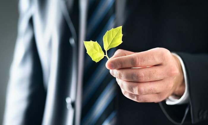 hombre-traje-directivo-hoja-sostenibilidad-770-dreamstime.jpg