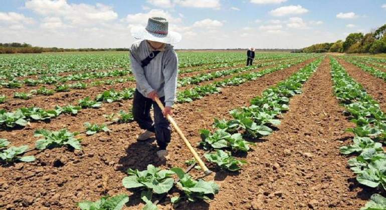 agricultura_770x420.jpg