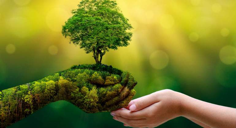 naturaleza-defiin.jpg