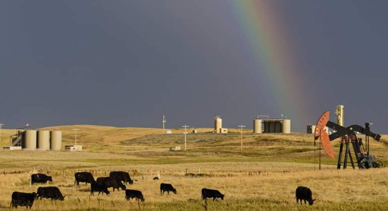 vacas-petroleo-eeuu.jpg