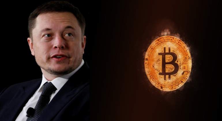 musk_bit.jpg