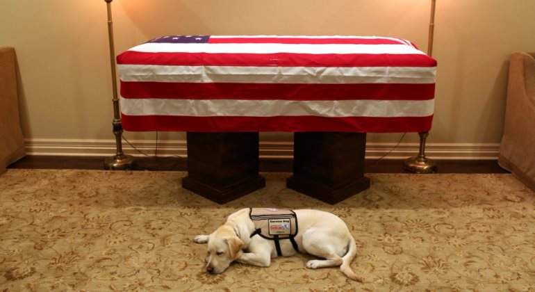 perro-bush-feretro-770.jpg
