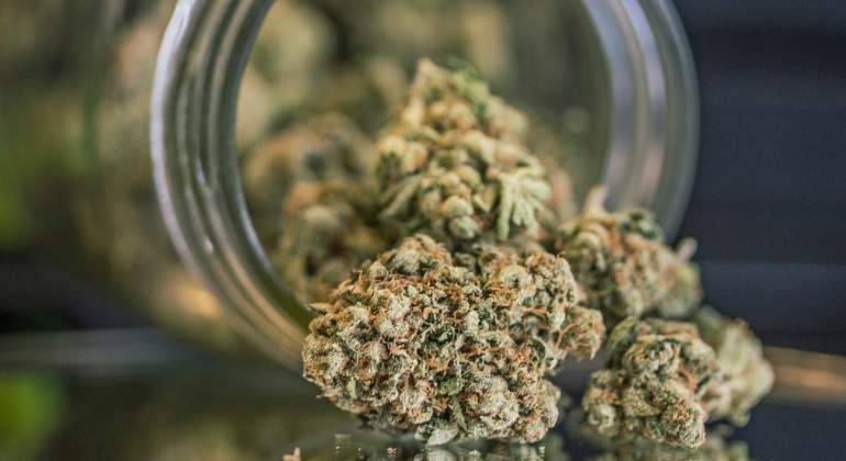 cannabis-getty.jpg