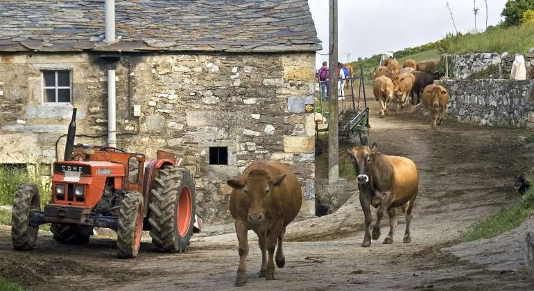 pueblo-campo-rural-vacas-770-dreamstime.jpg