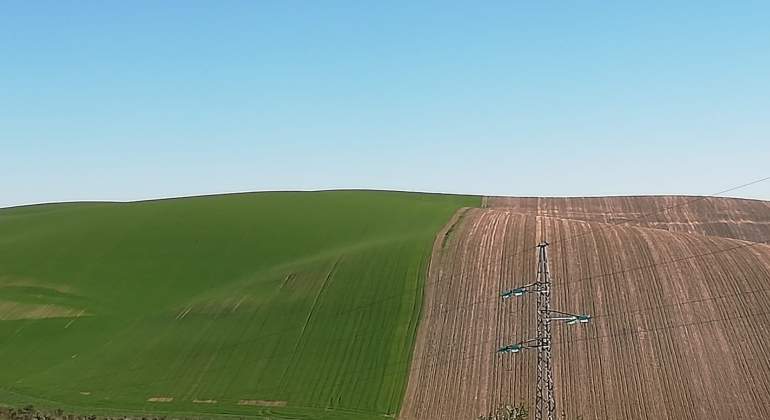 campo.jpg