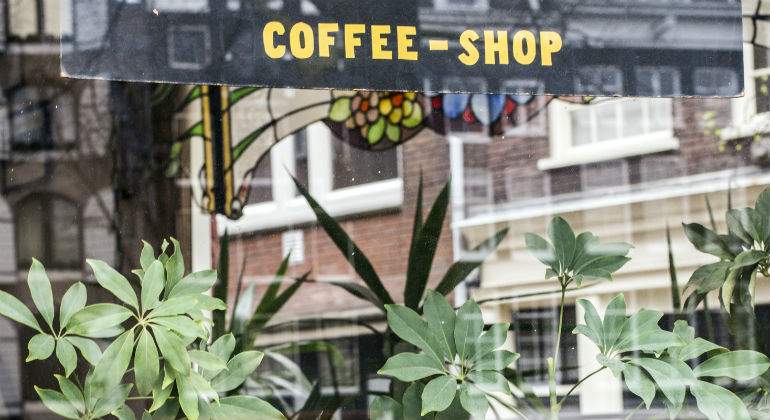 coffee-shop-amsterdam.jpg