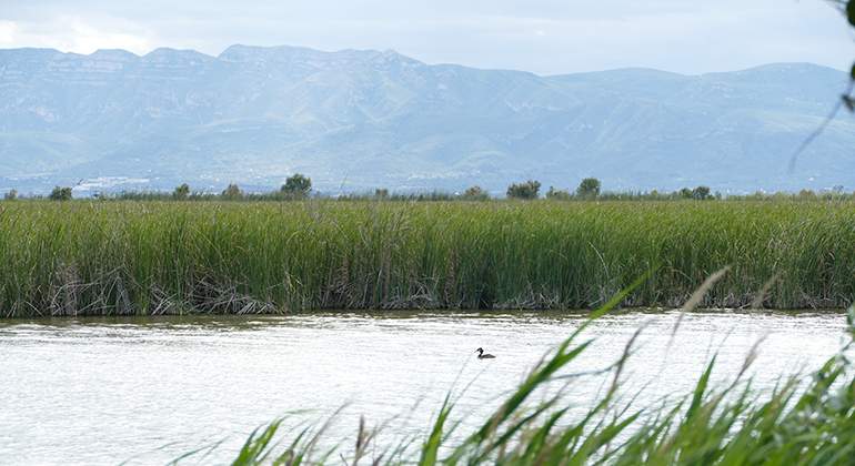 Agbar_EspMedioAmbiente1