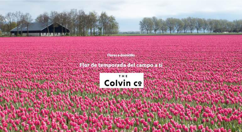 colvin-770.jpg