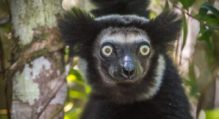 madagascar-dreamstime.jpg