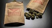 Uncanny, la plataforma de bienestar y estilo de vida del cannabis líder en el mundo
