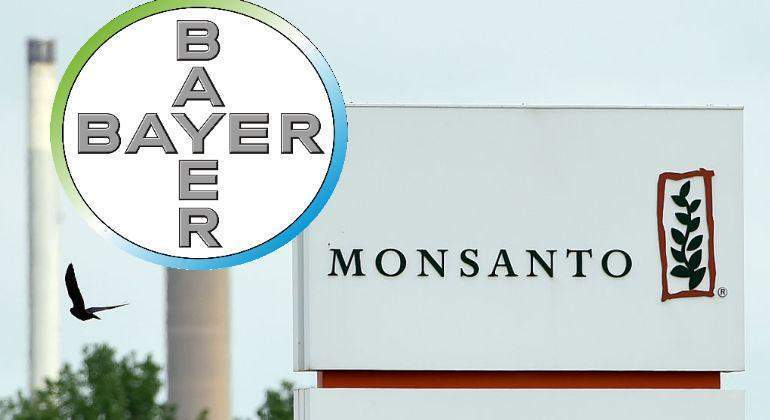 Bayer-monsanto-montaje.jpg
