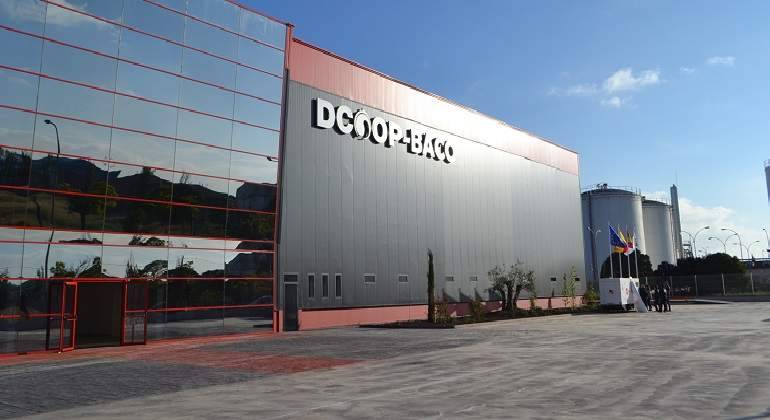 Dcoop-2.jpg