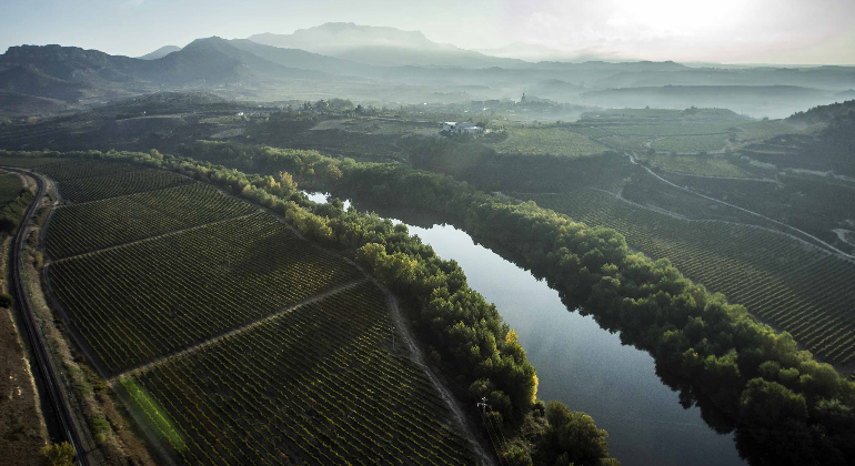 Vinedos-Rioja-Haro.png