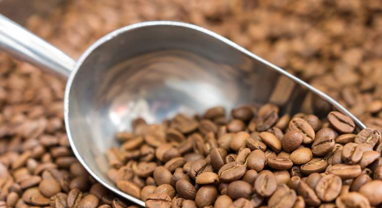 cafe-grano-recurso-dreamstime.jpg