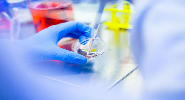 laboratorio-definitivo.jpg
