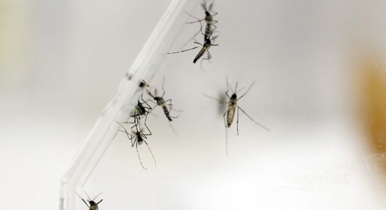 zika_efe.png