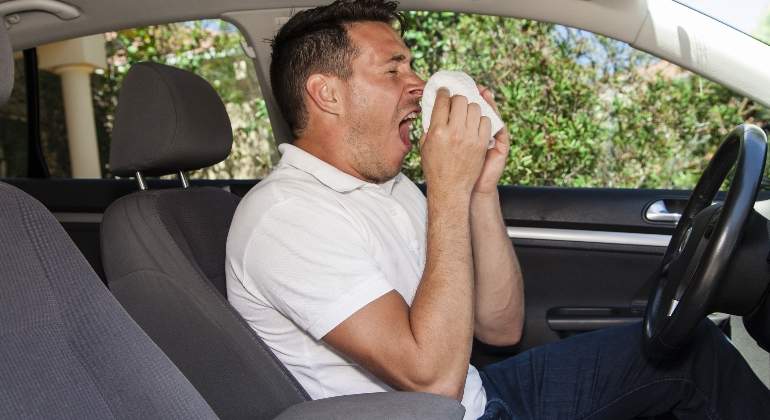 alergia-conduccion-dreamstime.jpg