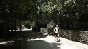 Así es el nuevo corredor de Madrid que conectará infinidad de zonas verdes fuera de la capital