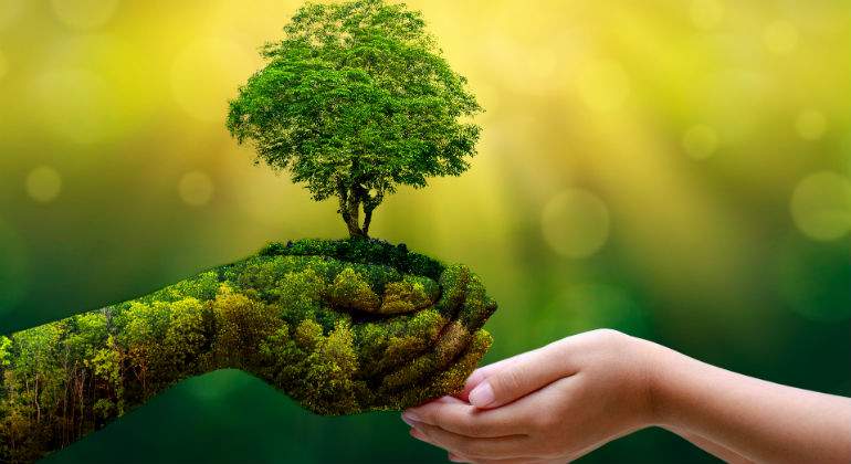 nature-defini.jpg