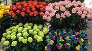 San Valentín: los regalos más originales y exclusivos para él y para ella