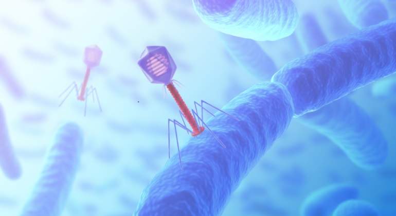 fago-virus-bacterias-dreams.jpg