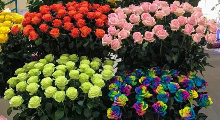 flores san valentin