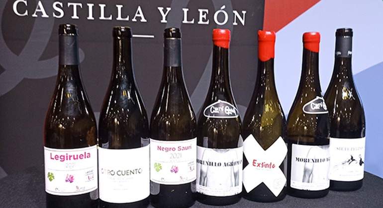 vinos-eleconomista.jpg
