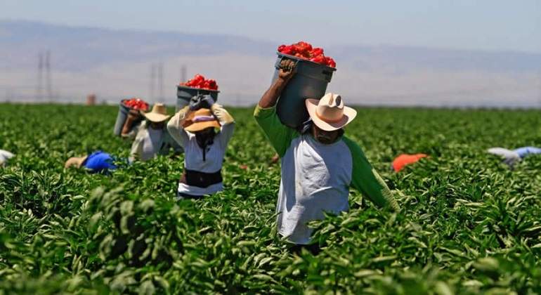 agroperu770.jpg