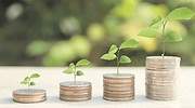 Bonos verdes: baratos para el emisor, rentables para el inversor