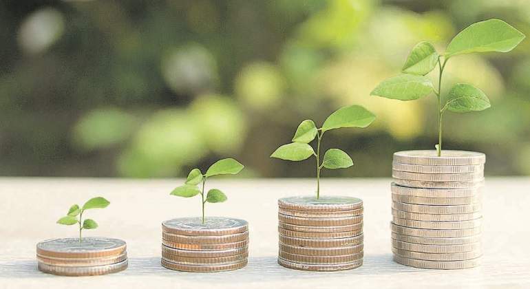 semilla-dinero-verde-crece-istock-770x420.jpg