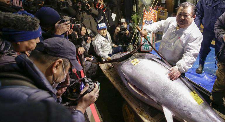 atun-japon-euros-770-efe.jpg