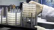 PharmaMar comienza el ensayo clínico de su antitumoral para el tratamiento del COVID-19