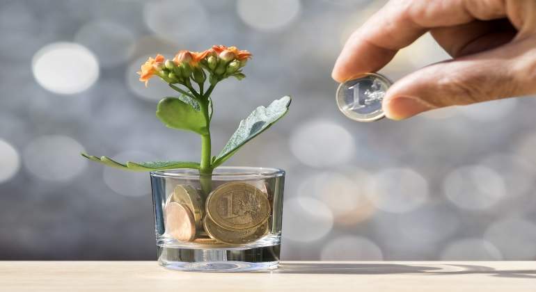 euro-flor.jpg