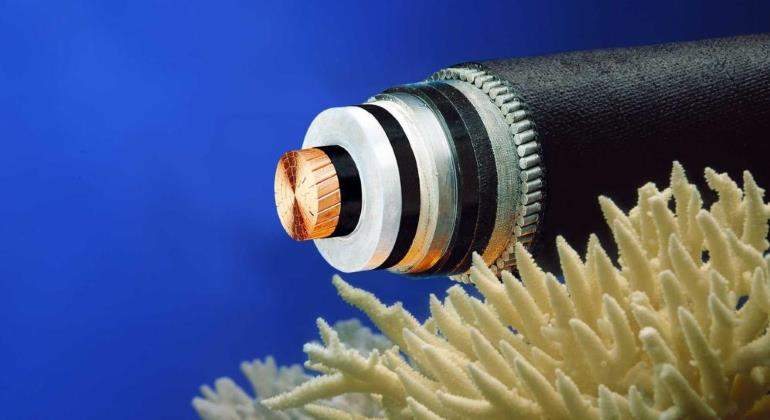cable-fibra-mar-770.jpg