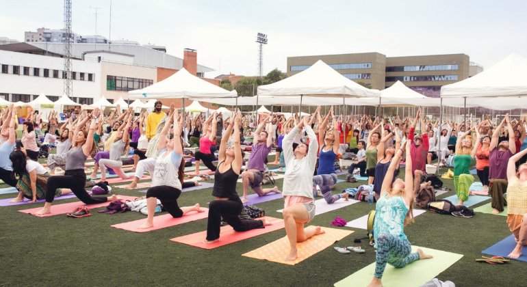 festival-yoga770.jpg