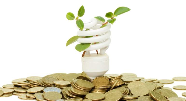 bombilla-euros-planta.jpg