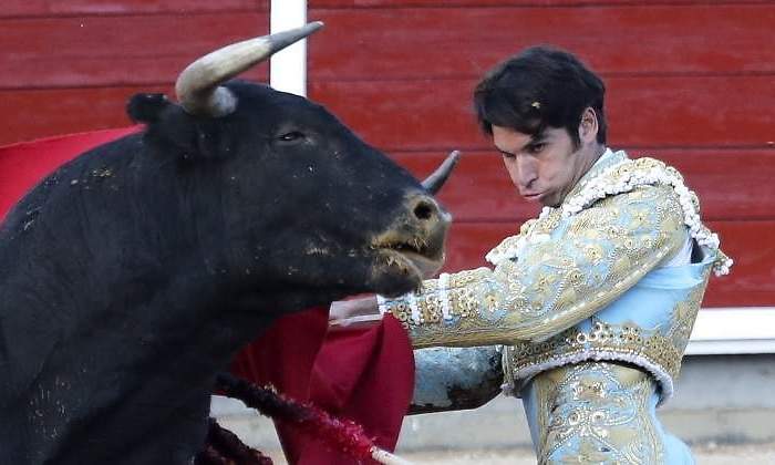 toros-tve.jpg
