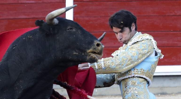 toros-tve.jpg