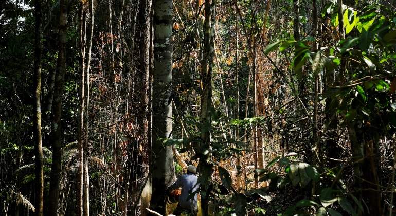 Deforestacion-reuters-770.jpg