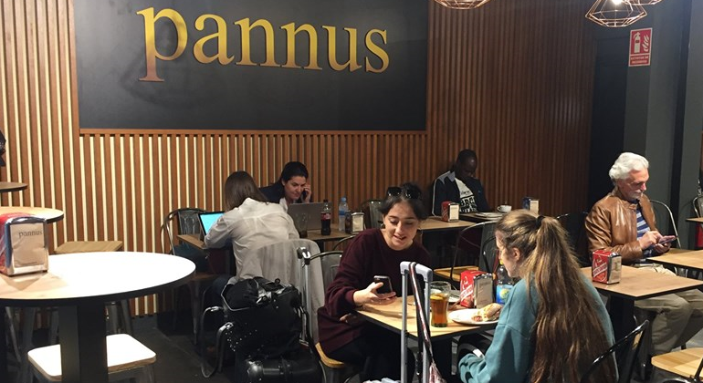 pannus1.png