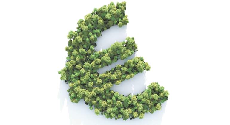 euro-arboles-770.jpg