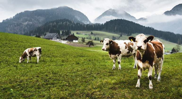 Agroalimentario